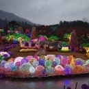 축령산아침 이미지