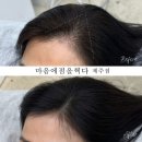 마음에점을찍다제주점