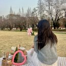 연지공원 벚꽃 피크닉 준비물 끝, 김해 달리는커피 연지공원점 피크닉세트 솔직 후기