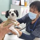 비전동물병원 이미지