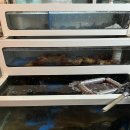 곰돌이포차 이미지