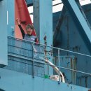 영도의 울림 이미지