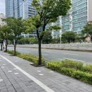 곤조커피