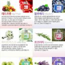 허브타임 이미지