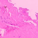 서울아산비뇨의학과의원 이미지