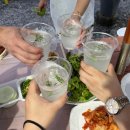 솔비치펜션민박 | 통영 비진도펜션 솔비치 로즈마리 솔직후기 2박3일 (구명조끼,패들보드 대여가능) 숙소추천 해변가 도보1분