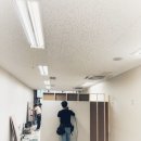 코코마쥬 네이버블로그