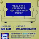 마루 태양광발전소 이미지