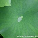 밤나무산장 이미지