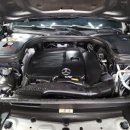 카토피아 이미지