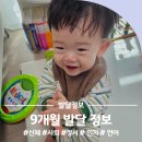 짝짜꿍 언어인지센터 | 9개월 발달 정보 후기이유식 낮잠 신체 사회 정서 인지 언어 총정리