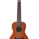 우쿠렐레 이미지