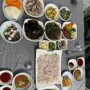 고려초장 이미지