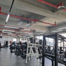 바디밸런스 경북도청점 | 경북도청 헬스 연말에도 몸을 유지하기 위한 기준