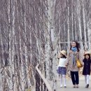 판교화담 - 성남시 분당구 느티로63번길 18 | 판교화담