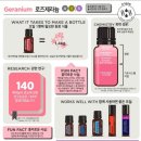 궁테라피 이미지