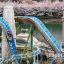 에버랜드 이미지