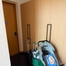 연식목장 | 💗소노펠리체 비발디파크 테라스동 숙박 후기💗｜객실 컨디션부터 뷰까지 솔직 리뷰 🌿