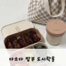 다소다 | 다소다 밤부 도시락통 내돈내산 후기