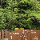 청령포초등학교 | [강원도 여행] 5월 민둥산 등산(증산초교 코스), 한반도지형, 청령포