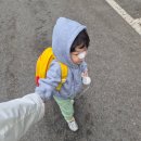 늘푸른외과의원 | 또 다친 얼굴 그리고 어금니 등장 (찰과상 치료 후기, 푸른외과의원)