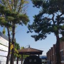 대전동도초등학교 이미지