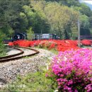 곡성-122 이미지