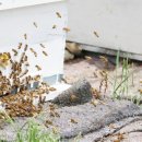 한보축산 이미지