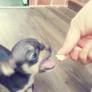 백일세탁소 이미지