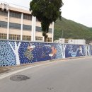 영월고등학교 이미지