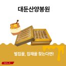 부자양봉원 | 벌집꿀 집채꿀 대둔산양봉원 방문과 집에서 맛있게 즐긴 후기