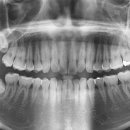 그린필치과의원 이미지