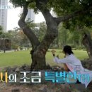 학사건강원 | 요즘것들이 수상해 나무의사 요상이 23호, 신상 고난도 국가 자격증 이금현 - 산림청 한국임업진흥원...