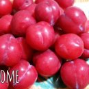 유구농장 이미지