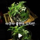 아쿠아플랜트디자인 이미지