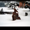 부론중학교 이미지