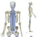 바른몸 퍼스널 트레이닝 이미지