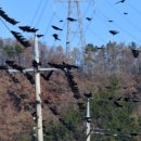 대원에너지산업 이미지