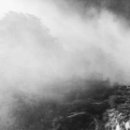 한계사슴농원 이미지