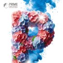 시민운동장 이미지