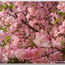 오월의 언덕 이미지