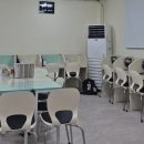 한내초 앞 이미지