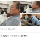 5/27 고양이 찡찡이와 문재인 대통령.jpg 이미지