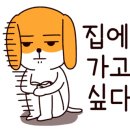 서울그랜드호스텔 이대 이미지