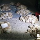 참프레푸드