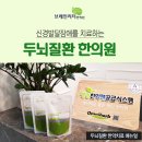 더브레인한의원 이미지