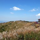 수골 농장 이미지