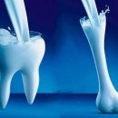 남녀노소 트레이닝 이미지