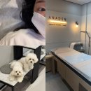 아나덴 슈가링왁싱 창동역점 | 아나덴 슈가링왁싱 창동역점 후기｜민감성 피부도 걱정 없는 브라질리언왁싱