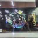 일양약국 이미지